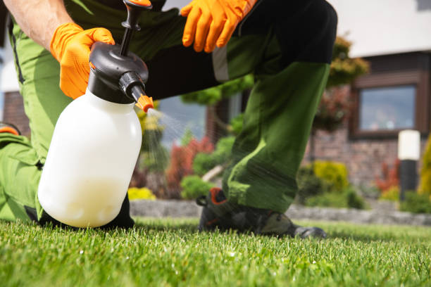 Best Pest Control for Businesses  in Evanston, IL