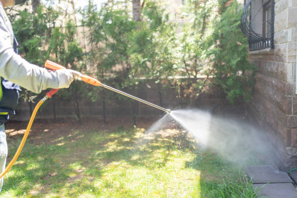 Best Best Pest Control Near Me  in Evanston, IL