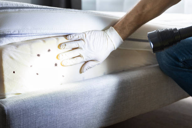  Evanston, IL Pest Control Pros
