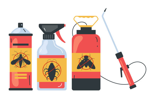 Best Wasp Removal Services  in Evanston, IL